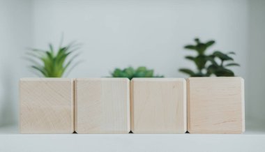 Dört ahşap blok, küçük saksı bitkileriyle çevrili bir rafta, parlak bir kapalı alanda minimalist bir estetik yaratıyor..