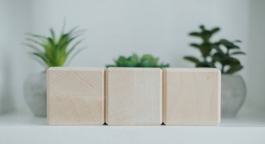 Üç ahşap blok, iki küçük saksı bitkisi tarafından çevrelenmiş bir rafa yerleştirilmiştir. Kurulum, ev dekorasyonu ortamında minimalist ve sakinleştirici bir atmosfer yaratıyor..