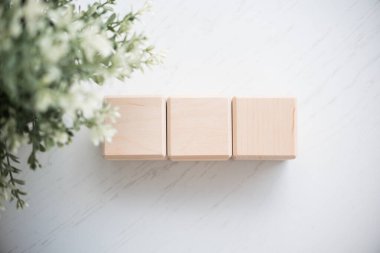 Yumuşak yeşil yapraklar ile tamamlanmış, pürüzsüz bir yüzeye yerleştirilen üç sade tahta küp, yaratıcı projeler veya gösteriler için mükemmel bir minimalist ve minimalist estetik oluşturuyor..