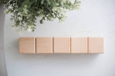 Beş tahta blok beyaz bir masanın üzerine düzgünce dizilmiştir. Narin yaprakları olan küçük yeşil bir bitki minimalist düzenine doğanın bir dokunuşunu ekler ve genel estetiği güçlendirir..