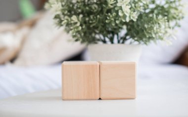 İki pürüzsüz tahta blok beyaz bir saksı bitkisinin yanında bir masada oturur, parlak ve davetkar iç mekâna doğal bir sıcaklık katar..