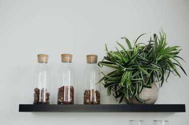 A stylish wall shelf displays three glass jars filled with decorative items, complemented by a vibrant green plant, enhancing the room's ambiance with natural beauty. clipart