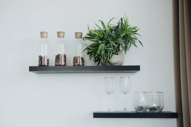 Modern bir rafta kahve çekirdekleri ile dolu cam kaplar, bir demlikte canlı yeşil bir bitki ve düzgün düzenlenmiş zarif cam eşyalar sergileniyor. Bu düzen uzaya cazibe ve düzen katar.