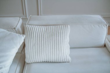 Parlak ve havadar bir oturma odasında yumuşak, desenli bir yastıkla süslenmiş rahat beyaz bir kanepe yer alır. Doğal ışık uzayı aydınlatır, rahatlatıcı bir atmosfer yaratır..