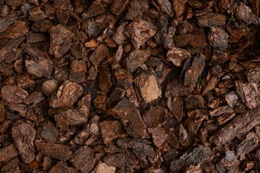 Bu kalın ahşap kabuk tabakası, bahçe toprağı boyunca yayılarak nemi arttırır ve sıcak güneş ışığında organik bir estetik sağlar..