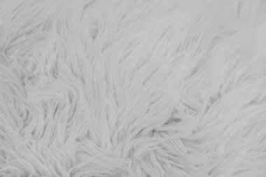 Soft and fluffy white faux fur creates a cozy winter background, perfect for holiday decorations or festive settings. Ideal for Christmas and New Year celebrations with a warm ambiance. clipart