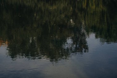 Sakin sular, ağaçların barışçıl ve uyumlu bir manzara yaratan detaylı yansımasını ortaya koyuyor. Sabahın erken saatleri doğanın güzelliğini arttırır, sükuneti ve tefekküre davet eder..