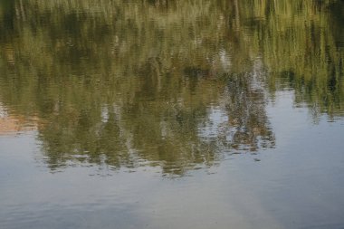 Suyun sakin yüzeyi gölün çevresini çevreleyen canlı yeşilliği yansıtıyor ve öğleden sonra ışıklarının tipik barışçıl bir atmosfer yaratıyor. Yansıma, çevrenin doğal güzelliğini vurgular..