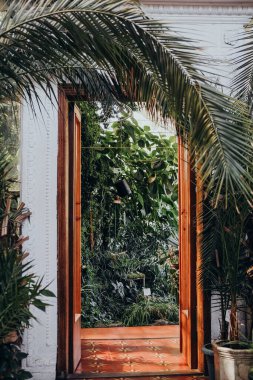 Açık kapı, yaprakların arasından süzülen zengin yeşillik ve güneş ışığını gösteren yemyeşil bir bahçeyi çerçeveler. Rahatlamak ve keşfetmek için mükemmel sakin bir ortam yaratır..