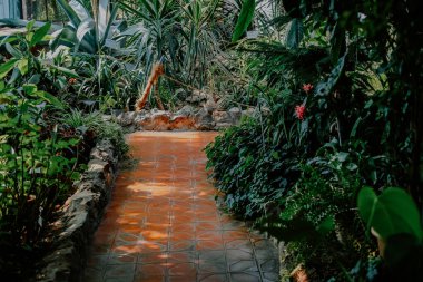 Serin bir patika, tropikal bitkiler ve renkli çiçeklerle çerçevelenmiş yemyeşil bir bahçe boyunca esiyor. Güneş ışığı yaprakların arasından süzülür, fayanslı yüzeyde yumuşak gölgeler bırakır, keşif ve rahatlamaya davetiye çıkarır..