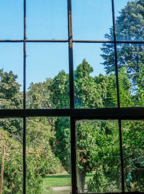 Eski, kırsal pencerelerden bakıldığında, güzel açık hava canlı yeşil ağaçlar ve açık mavi gökyüzü ile açılır, sıcak, güneşli bir günde barışçıl düşünceleri ve doğayla bağlantıyı davet eder..