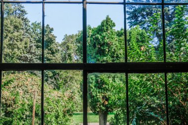 Kırsal pencere, yemyeşil yemyeşil ve berrak mavi gökyüzü ile canlı bir bahçe manzarası çerçeveler. Huzurlu ortam gün boyunca sükuneti ve yansımayı davet eder..