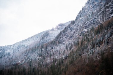 Karla kaplı uzun dağlar, her zaman yeşil ağaçlar ve üzerinde gri bir gökyüzü..