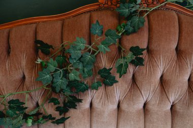 Green ivy drapes elegantly over a plush tufted backdrop in a warm setting. clipart