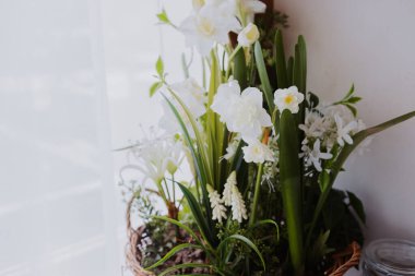 Beyaz çiçeklerin canlı bir görüntüsü gün ışığında bir pencerenin kenarında zarif bir şekilde durur..