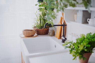 Parlak ve davetkar bir mutfakta lavabo, bitkiler ve ahşap bir dekor bulunur..