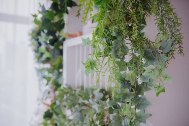 Yeşillik, rahat bir odanın penceresinin yanındaki beyaz rafı süslüyor..