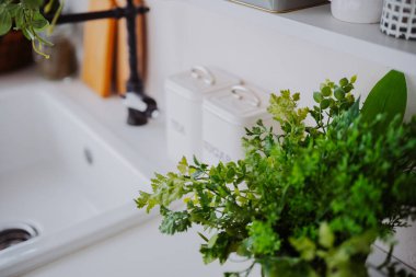 Konforlu bir mutfakta yeşil otlar ve şık konteynırlar bulunur..