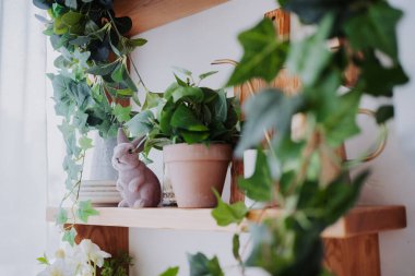 Güzel yeşil bitkiler ve seramik bir tavşan ahşap bir rafta cazibe yaratır..
