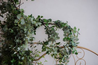 Yeşil bitkiler parlak ışıkta altın bir yapıyla sarmalanır..