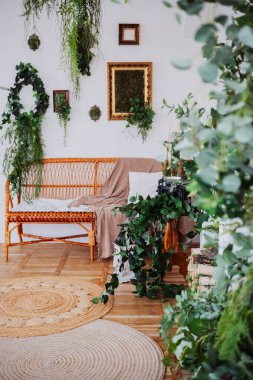 Etrafı çeşitli bitki ve dekorlarla çevrili bir kanepeden oluşan parlak bir oda..
