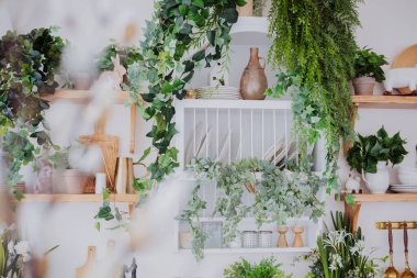 Bitkilerle dolu canlı bir mutfak, ahşap raflar, ve kırsal ürünler sıcak hissettiriyor..