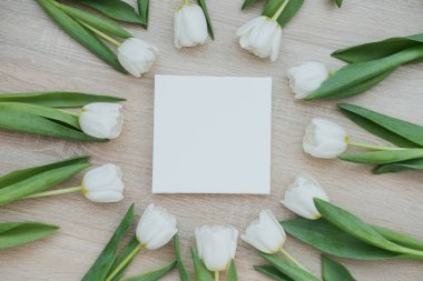 Fresh white tulips surround a blank canvas on a light wooden table. clipart