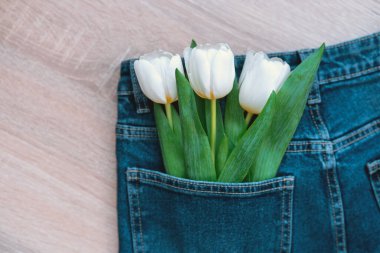 Fresh white tulips are tucked into a back pocket of blue jeans on a light surface. clipart