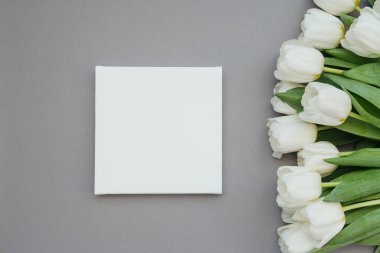 Tarafsız gri bir yüzeyde boş bir tuvalin yanına dizilmiş taze laleler..