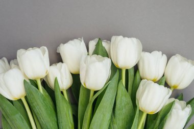 Yeşil yapraklı zarif beyaz laleler dingin ve taze bir ortam yaratır..