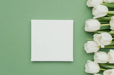 Boş bir tuval yeşil bir yüzeyde el değmemiş beyaz lalelerin yanında duruyor, yaratıcılığı davet ediyor..