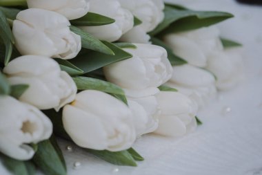 Yeşil yapraklı taze beyaz laleler dekore edilmiş bir masa yüzeyinde şekillendirilir..