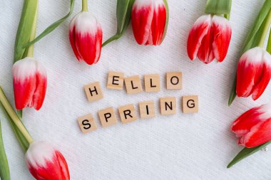 Renkli laleler, baharın gelişini kutlamak için ahşap bir mektup düzenlemesi çerçevelediler.