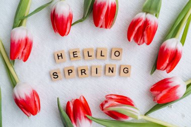 Parlak kırmızı laleler, arka planda bahar selamlaması anlamına gelen ahşap blokları sarıyor..