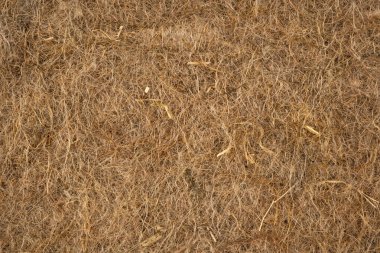 Mikroyeşiller için biyolojik çözünebilir Büyüme Mataları dokuyu kapat