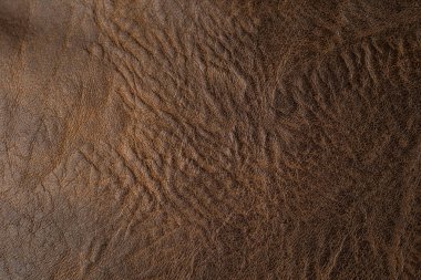 Kahverengi deri arka plan. Deri arka plan gibi.. 