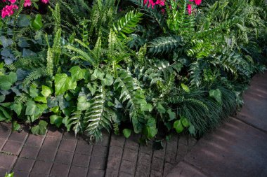 Yeşil Yapraklı Tuğla Yolu