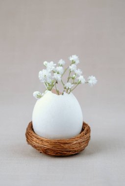 Eggshell vase with white baby   wreath flowers in nest. Easter background.  clipart