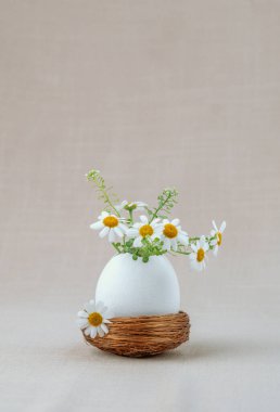 Eggshell vase with white daisy  flowers in nest. Easter background. clipart