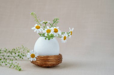 Yuvasında papatya çiçekleri olan yumurta kabuğu vazosu. Paskalya arkaplanı.