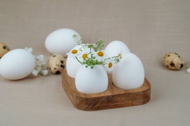 White eggs with daisy flowers on wooden tray.Easter backgorund. farm concept.  clipart