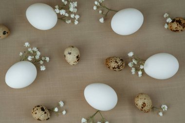 Beyaz çiçekli bıldırcın yumurtası ve tavuk yumurtası. Doğal sağlıklı gıda ve organik tarım kavramı