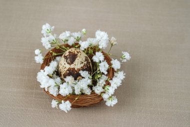  Küçük çelenkli bıldırcın yumurtası. Paskalya arkaplanı.