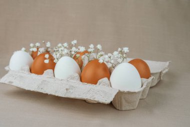 Kartonda Bebek Çelengi ile Beyaz ve Kahverengi Yumurtalar. Doğal sağlıklı gıda ve organik tarım konsepti. Kutudaki yumurtalar