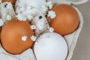 Kartonda Bebek Çelengi ile Beyaz ve Kahverengi Yumurtalar. Doğal sağlıklı gıda ve organik tarım konsepti. Kutudaki yumurtalar