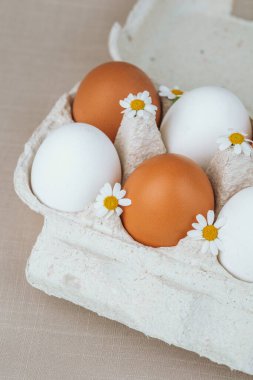 Kartonda beyaz ve kahverengi yumurtalar ve papatya çiçekleri. Doğal sağlıklı yiyecekler ve organik tarım kavramı. Kutudaki yumurtalar