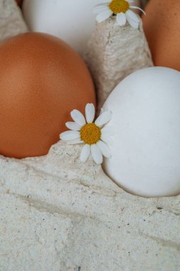 Kartonda beyaz ve kahverengi yumurtalar ve papatya çiçekleri. Doğal sağlıklı yiyecekler ve organik tarım kavramı. Kutudaki yumurtalar