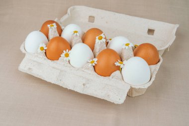 Kartonda beyaz ve kahverengi yumurtalar ve papatya çiçekleri. Doğal sağlıklı yiyecekler ve organik tarım kavramı. Kutudaki yumurtalar