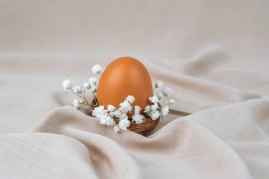 Çiçek yuvasında kahverengi yumurta. Paskalya yumurtası. Paskalya kuşağı. 