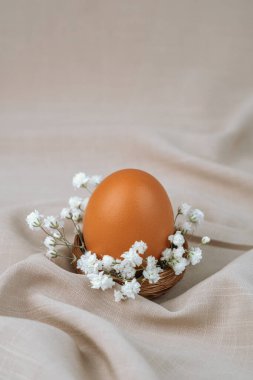 Çiçek yuvasında kahverengi yumurta. Paskalya yumurtası. Paskalya kuşağı. 
